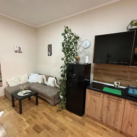 Apartment Dana Belgrade Exterior photo