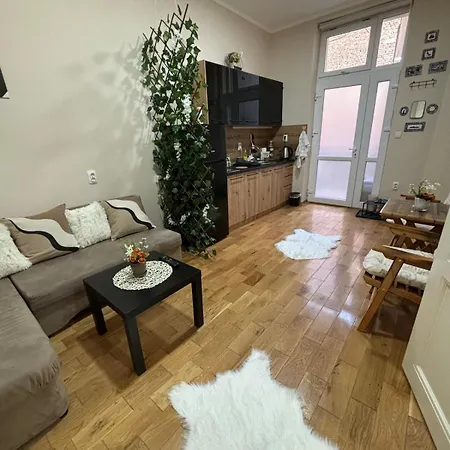 Apartment Dana Belgrade Exterior photo